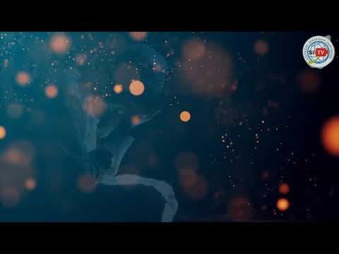 რეღაიბი